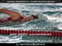 17983 photo